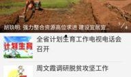 仙桃新闻爆料入口最新,最新热辣资讯一网打尽！